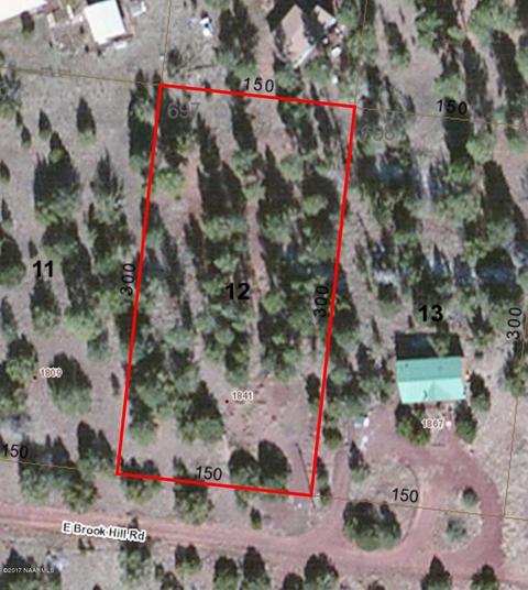 1841 E Brook Hill Rd, Williams, AZ 86046 photo 4