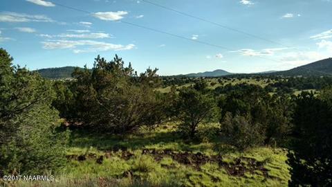 1841 E Brook Hill Rd, Williams, AZ 86046 photo 10