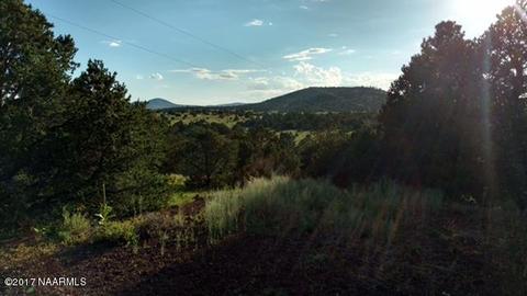 1841 E Brook Hill Rd, Williams, AZ 86046 photo 9