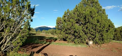 1841 E Brook Hill Rd, Williams, AZ 86046 photo 1