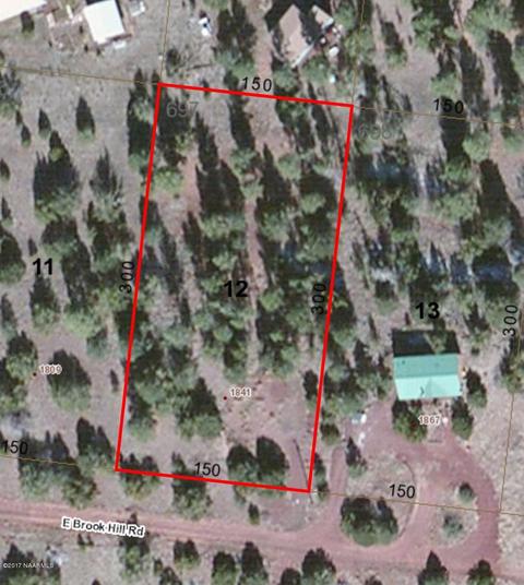 1841 E Brook Hill Rd, Williams, AZ 86046 photo 3