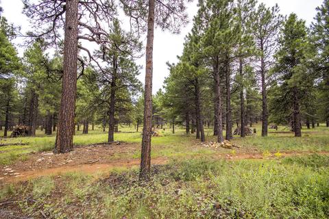19 E Quartz Rd, Flagstaff, AZ 86005 photo 29