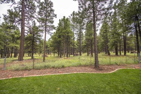 19 E Quartz Rd, Flagstaff, AZ 86005 photo 28
