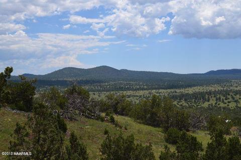 1721 E Sagebrush Rd, Williams, AZ 86046 photo 6