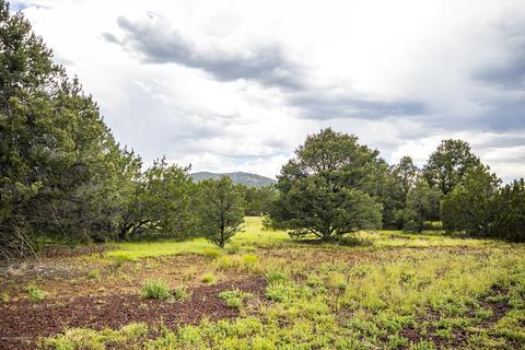 279 E Tall Tree St, Williams, AZ 86046 photo 17