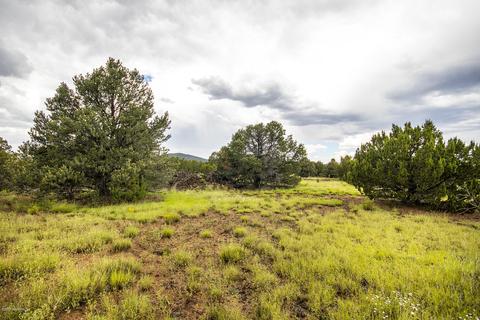 279 E Tall Tree St, Williams, AZ 86046 photo 18