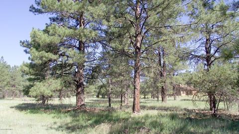 2687 Lazy E Rd, Williams, AZ 86046 photo 6