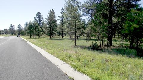 2687 Lazy E Rd, Williams, AZ 86046 photo 3