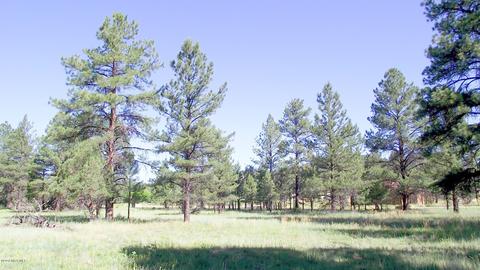 2687 Lazy E Rd, Williams, AZ 86046 photo 5