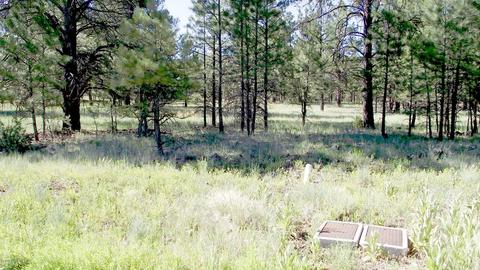 2687 Lazy E Rd, Williams, AZ 86046 photo 2