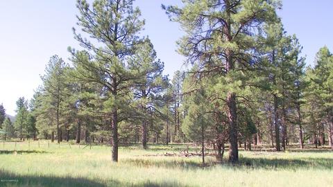 2687 Lazy E Rd, Williams, AZ 86046 photo 1