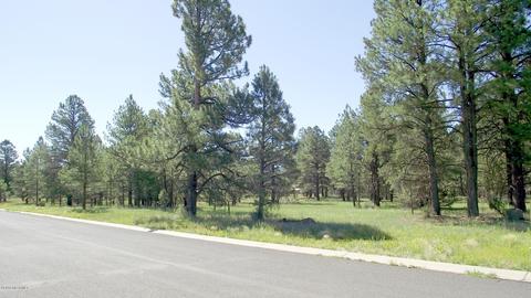 2693 Lazy E Rd, Williams, AZ 86046 photo 3