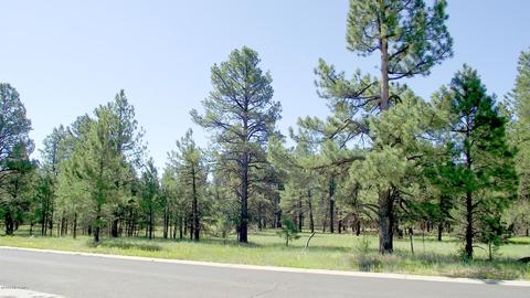 2693 Lazy E Rd, Williams, AZ 86046 photo 2