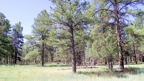 2693 Lazy E Rd, Williams, AZ 86046 photo 7