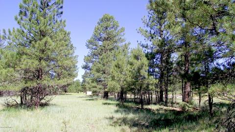 2693 Lazy E Rd, Williams, AZ 86046 photo 8