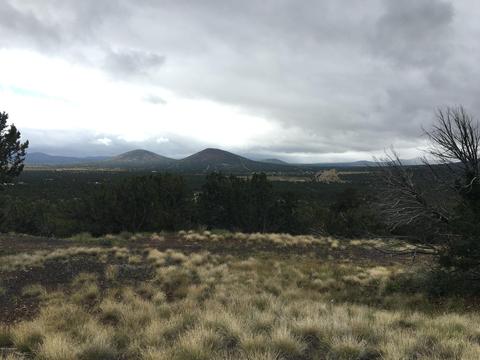 1124 E Broken Arrow Dr, Williams, AZ 86046 photo 7
