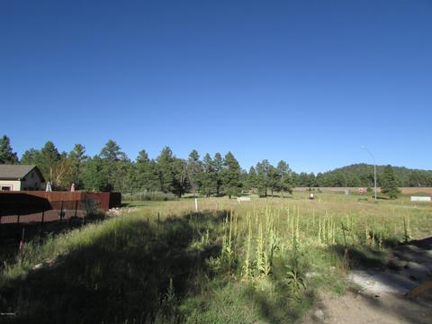673 Brookline Loop, Williams, AZ 86046 photo 15