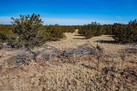 13282 Howard Mesa Loop, Williams, AZ 86046 photo 10