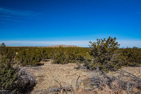 13282 Howard Mesa Loop, Williams, AZ 86046 photo 9