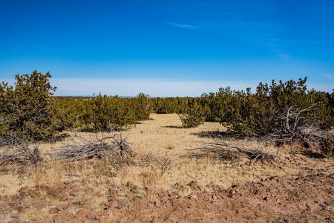 13282 Howard Mesa Loop, Williams, AZ 86046 photo 7
