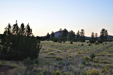 2101 E Spring Valley Rd, Williams, AZ 86046 photo 9