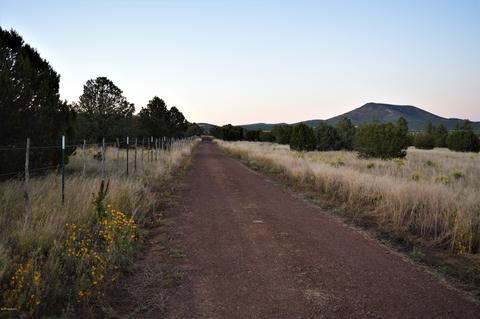 2101 E Spring Valley Rd, Williams, AZ 86046 photo 4