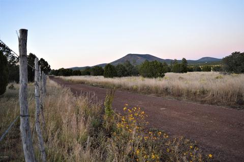 2101 E Spring Valley Rd, Williams, AZ 86046 photo 3
