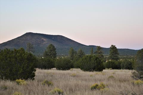 2101 E Spring Valley Rd, Williams, AZ 86046 photo 7