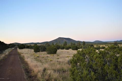 2101 E Spring Valley Rd, Williams, AZ 86046 photo 5
