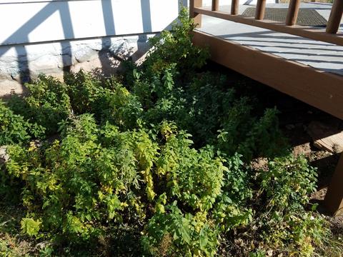 2100 E Frontier Ave, Flagstaff, AZ 86005 photo 8
