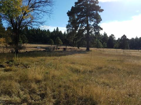 2100 E Frontier Ave, Flagstaff, AZ 86005 photo 6