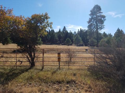 2100 E Frontier Ave, Flagstaff, AZ 86005 photo 4
