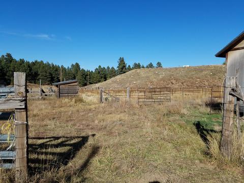 2100 E Frontier Ave, Flagstaff, AZ 86005 photo 9