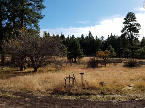 2100 E Frontier Ave, Flagstaff, AZ 86005 photo 3