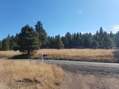 2100 E Frontier Ave, Flagstaff, AZ 86005 photo 5