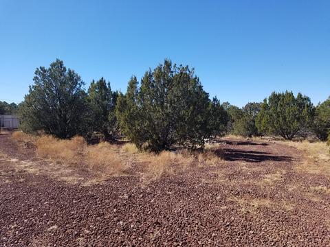 1114 E Alimos Way, Williams, AZ 86046 photo 2