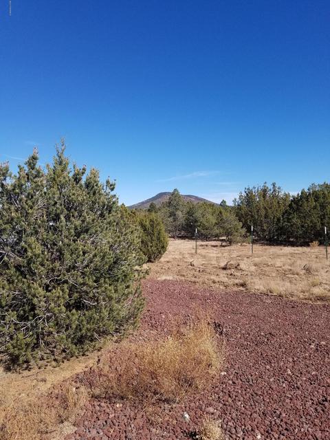1114 E Alimos Way, Williams, AZ 86046 photo 8