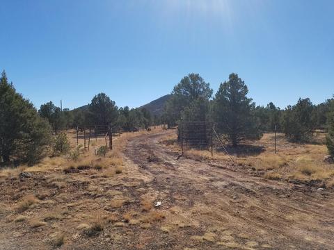 1114 E Alimos Way, Williams, AZ 86046 photo 1