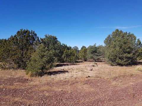 1114 E Alimos Way, Williams, AZ 86046 photo 5