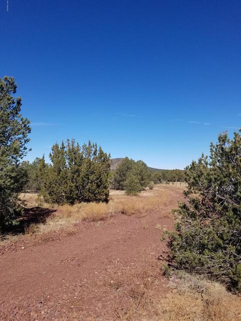 1114 E Alimos Way, Williams, AZ 86046 photo 9