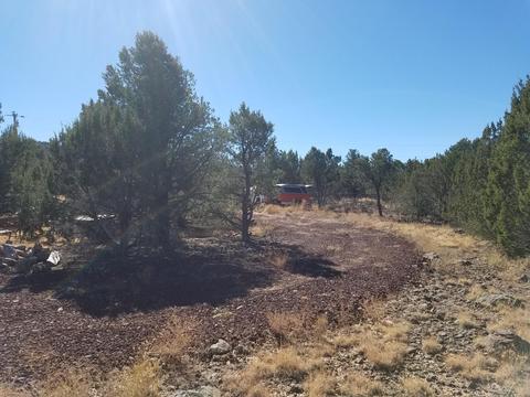 1114 E Alimos Way, Williams, AZ 86046 photo 6