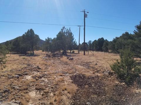 1114 E Alimos Way, Williams, AZ 86046 photo 3