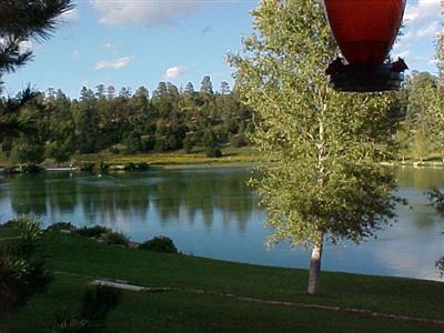 6250 E Willow Loop, Flagstaff, AZ 86004 photo 2