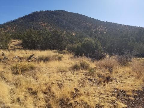2894 E Overlook Dr, Williams, AZ 86046 photo 3