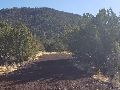 2894 E Overlook Dr, Williams, AZ 86046 photo 1