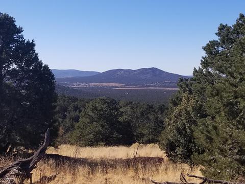 2894 E Overlook Dr, Williams, AZ 86046 photo 5