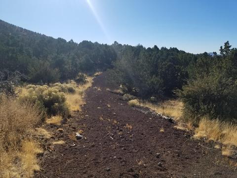 2894 E Overlook Dr, Williams, AZ 86046 photo 4