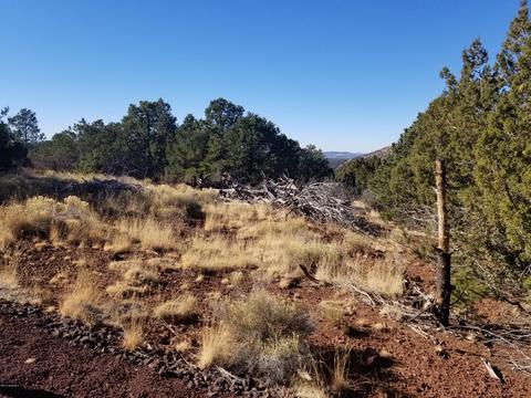 2894 E Overlook Dr, Williams, AZ 86046 photo 8