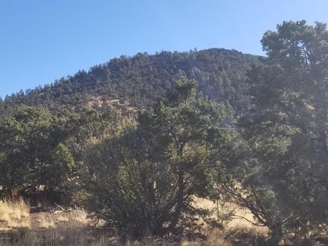 2894 E Overlook Dr, Williams, AZ 86046 photo 9