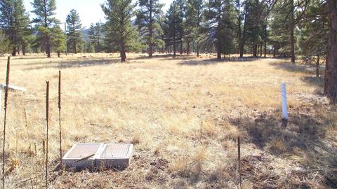 2625 Lazy E Rd, Williams, AZ 86046 photo 7